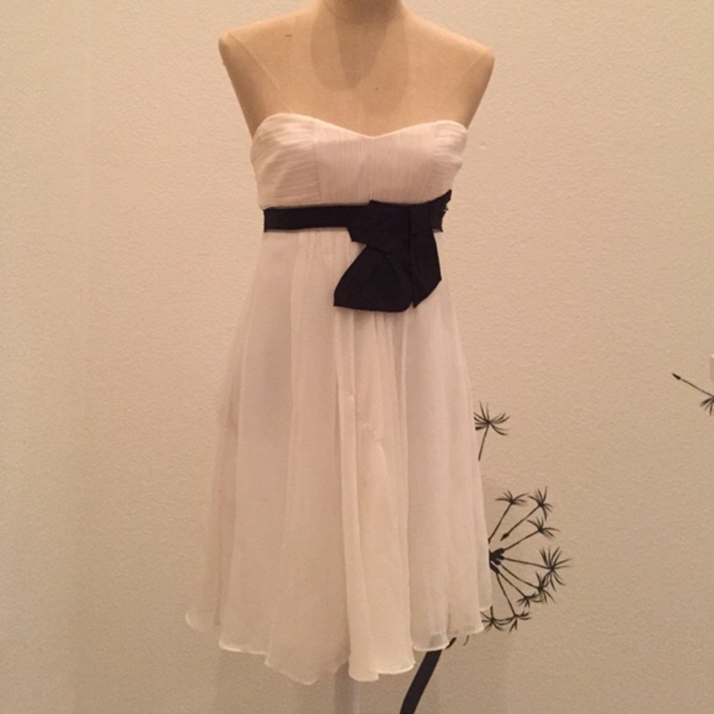 BCBG Chiffon dress